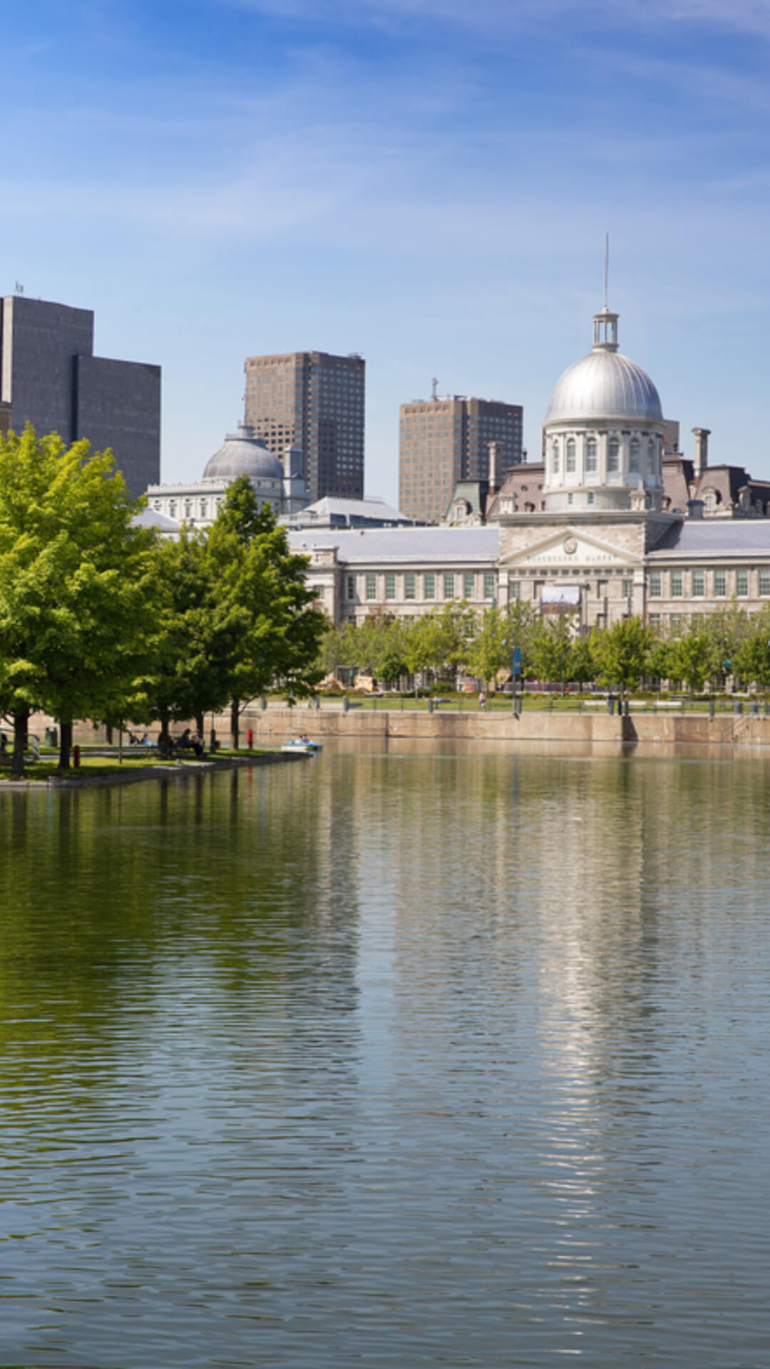 A summer landscape in Montreal city