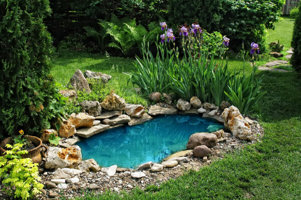 A serene, well-manicured backyard garden featuring a small, kidney-shaped pond with clear blue water, edged by natural rocks and gravel. Lush green grass surrounds the pond, with tall purple iris flowers and a variety of other plants in the background.