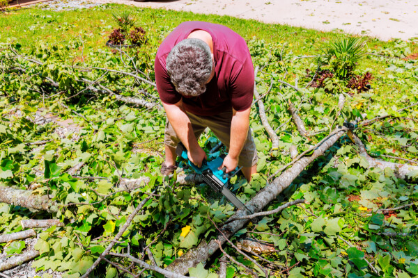 A professional landscaper wearing a maroon shirt and safety goggles is using a bright turquoise and black electric chainsaw to cut tree branches on a lawn covered in green leaves and twigs.