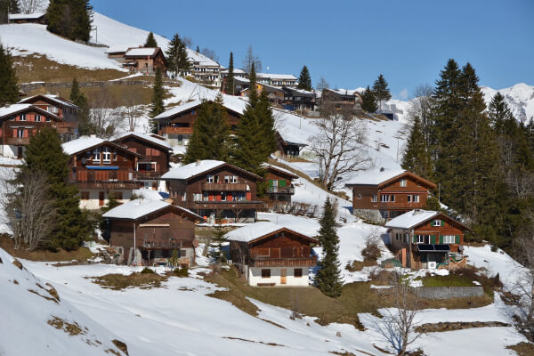 A scenic view of traditional wooden chalets with gabled roofs built into a snow-covered mountain landscape. The properties are surrounded by pine trees under a clear blue sky, evoking a serene winter atmosphere.