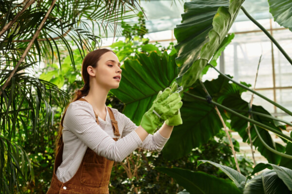 A young female landscaper wearing gloves and overalls is carefully inspecting a large green leaf of a tropical plant in a greenhouse. She appears focused on her work, surrounded by lush green foliage.
